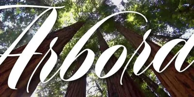 Arbordale Font