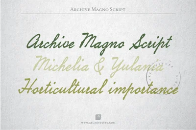 Archive Magno Script