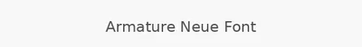 Armature Neue Font