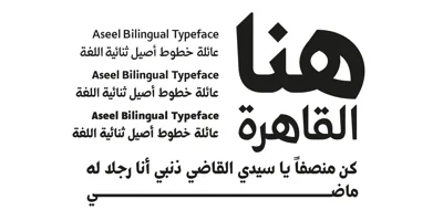Aseel Font