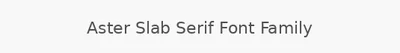 Aster Slab Serif Font Family