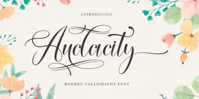 Audacity Script