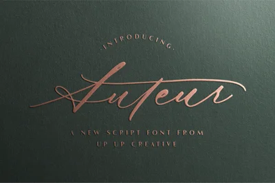 Auteur Calligraphy Script Font