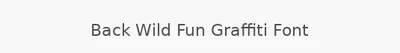 Back Wild Fun Graffiti Font
