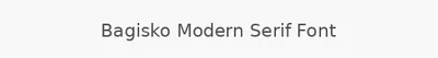 Bagisko Modern Serif Font
