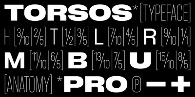 BB Torsos Pro Font