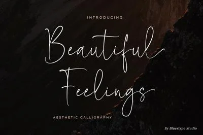 Beautiful Feelings - Aesthetic Fonts