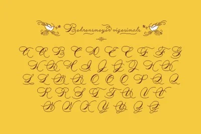 Behrensmeyer Vigesimals Font