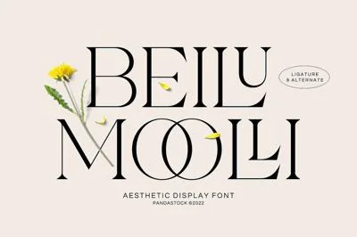Beilu Moolli Beautiful Modern Fonts