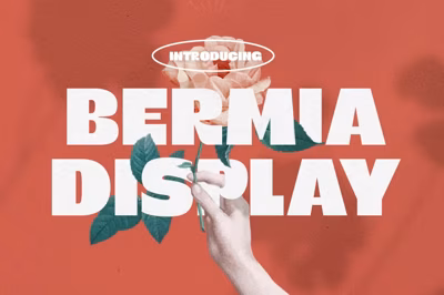 Bermia Display Font Free Download