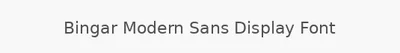 Bingar Modern Sans Display Font