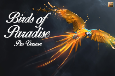 Birds of Paradise Font