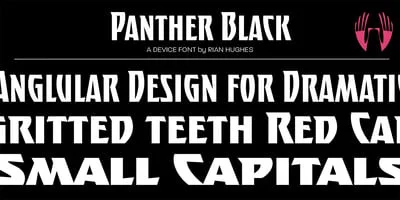Black Panther Font
