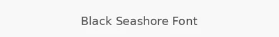 Black Seashore Font