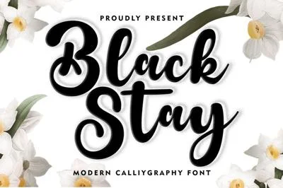 Black Stay Script