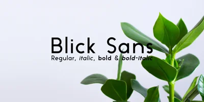 Blick Sans Font