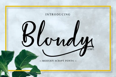 Blondy Script Font