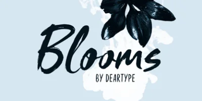 Blooms Script Font Font