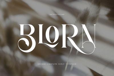 BLORN UNIQUE SERIF TYPEFACE Free Download