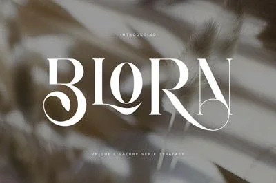 BLORN UNIQUE SERIF TYPEFACE