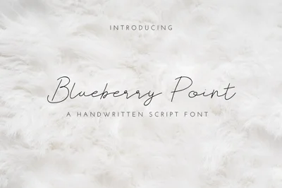 Blueberry Point Font