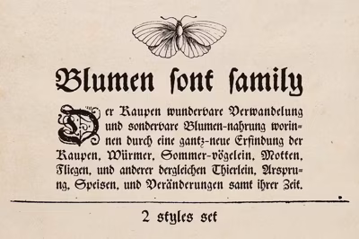 Blumen blackletter font family Free Download