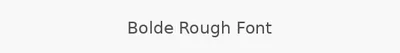 Bolde Rough Font