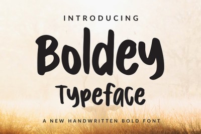 Boldey Typeace - A New Handwritten B Font