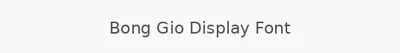 Bong Gio Display Font