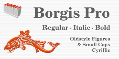 Borgis Pro Font