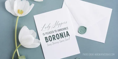 Boronia Font