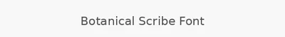 Botanical Scribe Font