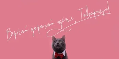 Bow Tie Font