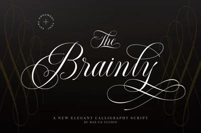Brainly Script Extra Ornament