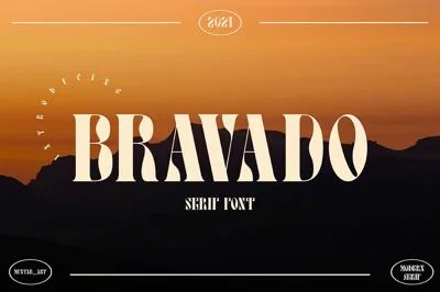Bravado | Serif Display Font