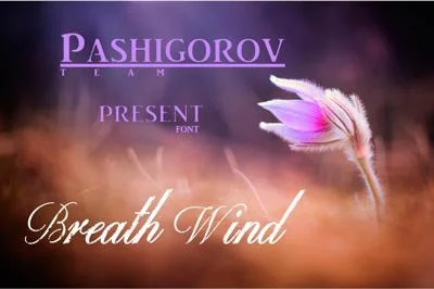 Breath Wind fonts 100$ off+bonus