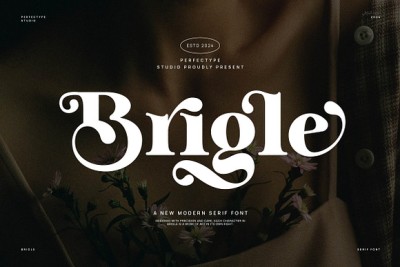 Brigle Serif Font
