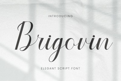 Brigovin - Luxury Script Font