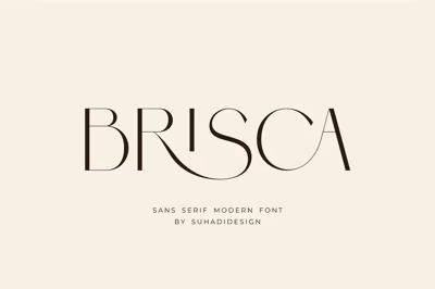 Brisca - Sans Serif Modern Font Free Download