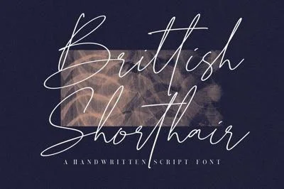 Brittish Shorthair Script