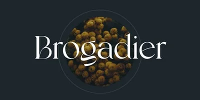 Brogadier Font