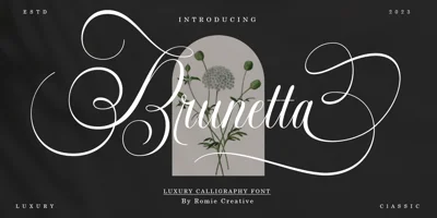 Brunetta Calligraphy Font