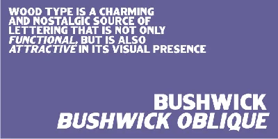 Bushwick JNL Font