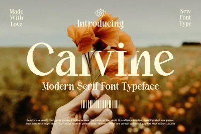 Calvine - Modern Serif Font Typeface