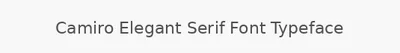 Camiro Elegant Serif Font Typeface