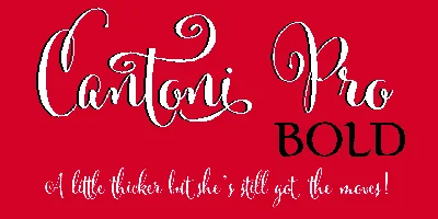 Cantoni Font