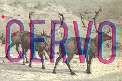 Cervo family fonts