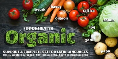 Changa Font