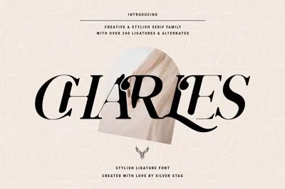 Charles - Ligature Serif Font Family