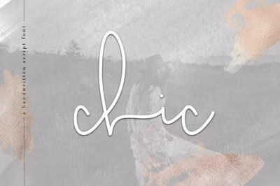 Chic - Handwritten Script Font Free Download